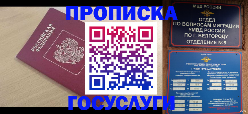 прописка законно в Кинешме